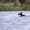 A Big "Fish" in the Kid's Pond near Twin Bridges, Montana
