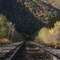 the Gorge