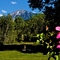 Pretty in Paonia