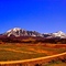 Blue Sky Paonia