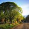 morning in the abundant orchards, vineyards, farms & ranches around Paonia Colorado