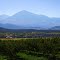 the abundant orchards, vineyards, farms & ranches around Paonia Colorado