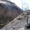 Whaleback