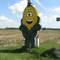 Corn Man