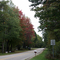 Byfield Drive