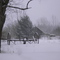 Winter in Maine