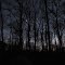 French Creek State Park Campground