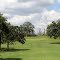 ColoVista #14 approach