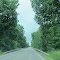 Lake Road