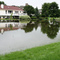 Flooded Backyard
