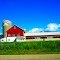 Marvin McCoy and Sons Farm