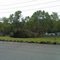 Tree on power lines (2011 Tornado Outbreak)...