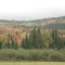 OTOÑO EN LONG POND