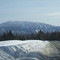 Saddleback