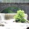 Stone arch and Dam with a heron on 7-9-11