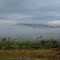 View in Deering
