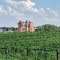 Victorian & Vineyard