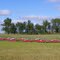 Parade of Red and White Sedans, Clark, South Dakota
