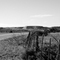 Highway 82