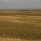 Prateria a Murdo
