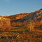 Sunrise at the base of the Ruby Mountains