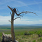 Across the Ruby Valley at its widest spot. Photo from the base of the Ruby Range
