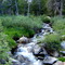 Stream Lamoille Canyon NV