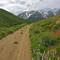 Ruby Mountains. Battle Creek Road
