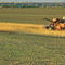 Montana Agriculture ...10.02.08*