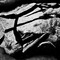 Broken Rock