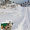 Mail Boxes in Winter ...12.31.10