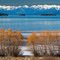 Polson Bay - View to the North ...03.12.11