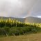 Rainbow at Schafer