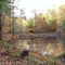 Pond in fall colors