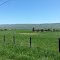 Appalaches