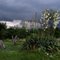 Coming Storm