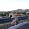 Silver City