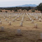 Fort Bayard National Cemetery