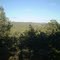 View From Side Yard