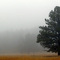 Ekalaka hills