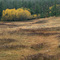Opeechee Park Road