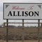 Allison