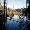 Bollweevil Rd