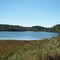 Lake nearly Dahlonega