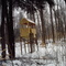 Deer Blind In The Woods