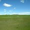 Custer National Forest