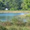 Oyster Lake