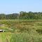 Cricket Lake