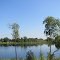 Barnum Lake