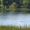 Barnum Lake